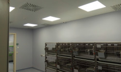 Потолочная система INGERMAX в НИЦ Курчатовский институт, г. Москва - 5